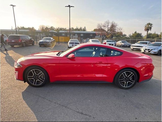 2023 Ford Mustang 