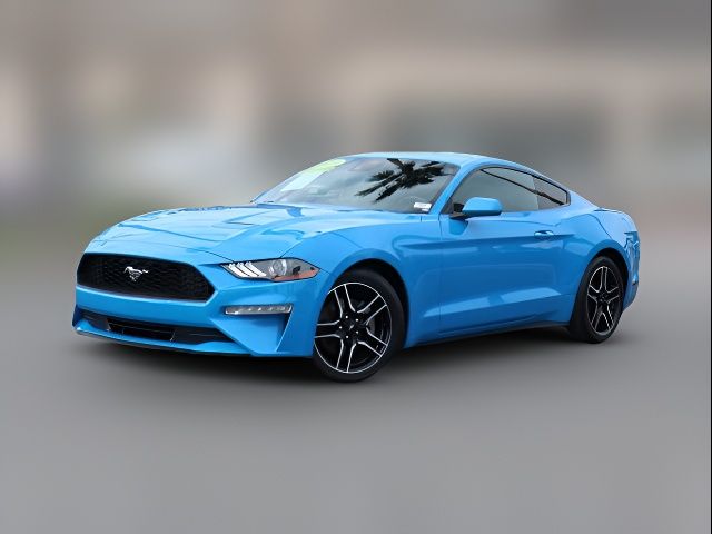 2023 Ford Mustang EcoBoost