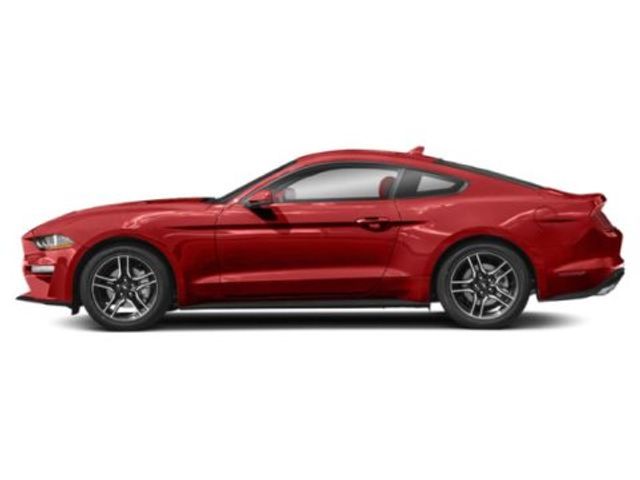 2023 Ford Mustang EcoBoost