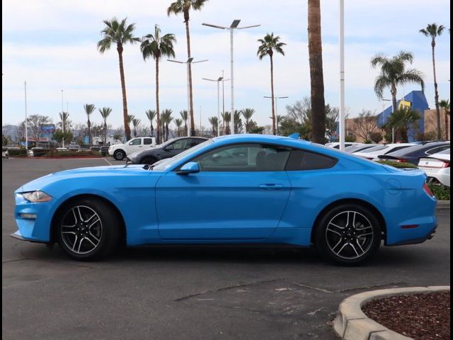 2023 Ford Mustang EcoBoost