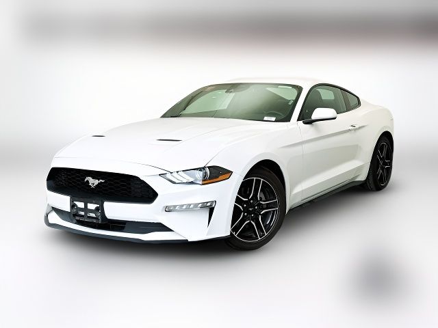 2023 Ford Mustang 