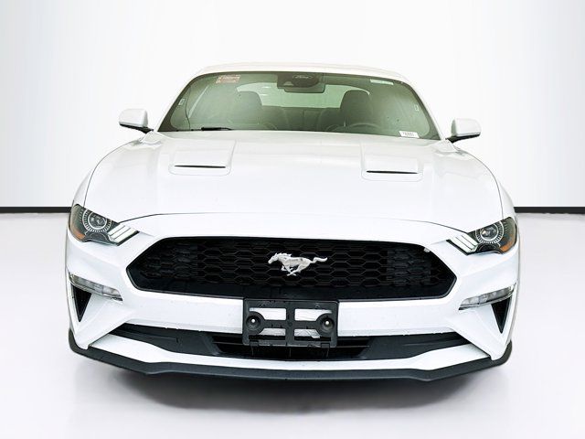 2023 Ford Mustang 