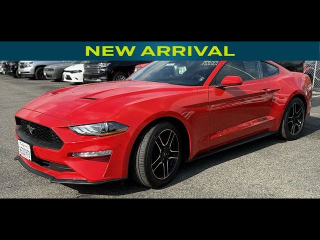 2023 Ford Mustang EcoBoost