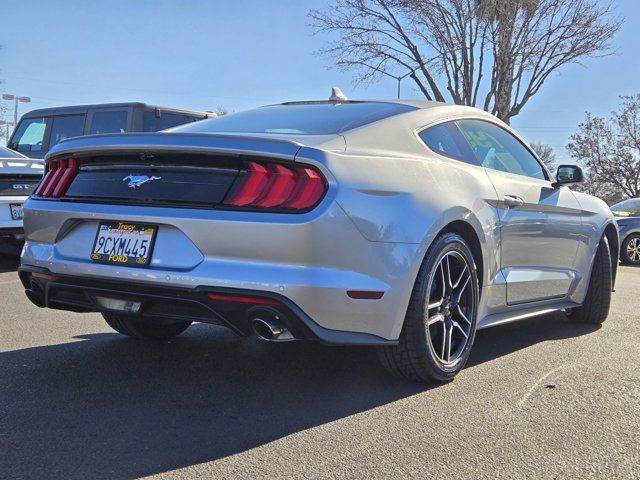 2023 Ford Mustang 