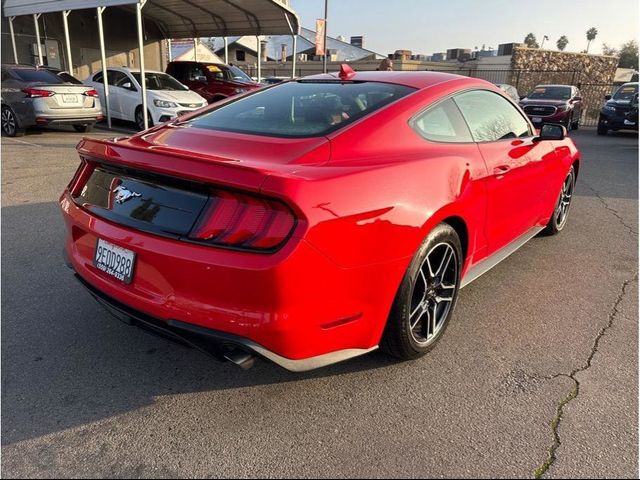 2023 Ford Mustang 