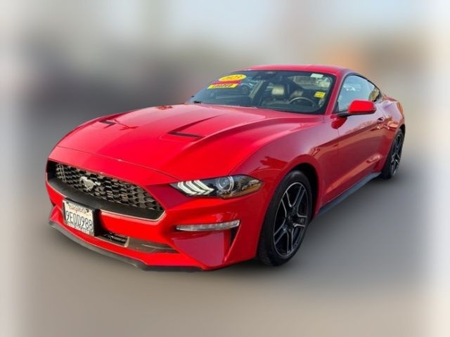 2023 Ford Mustang 