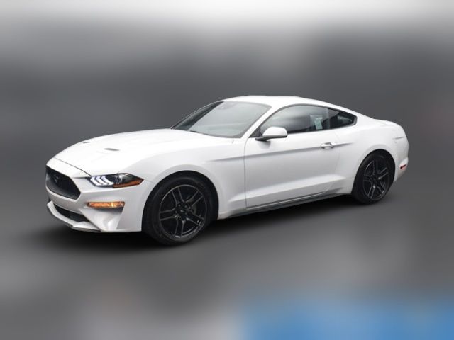 2023 Ford Mustang 