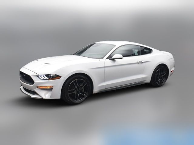 2023 Ford Mustang 