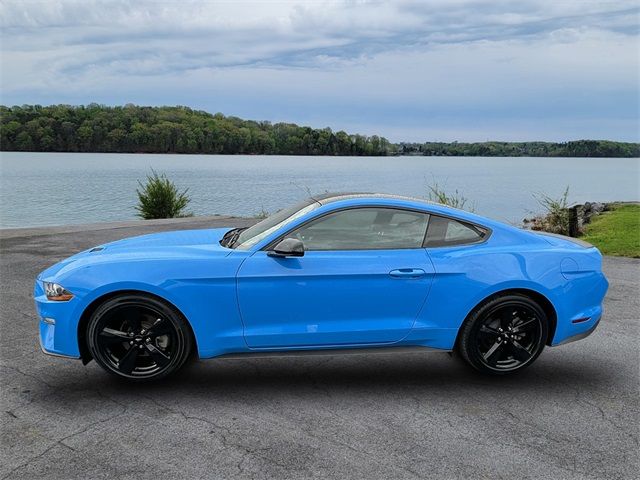 2023 Ford Mustang EcoBoost