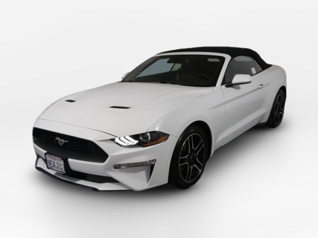 2023 Ford Mustang 