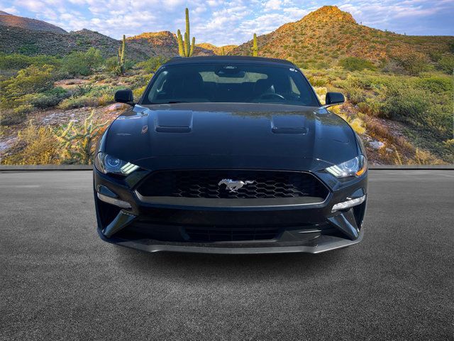 2023 Ford Mustang 