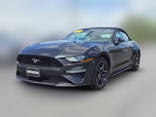 2023 Ford Mustang 