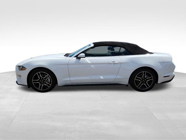 2023 Ford Mustang EcoBoost