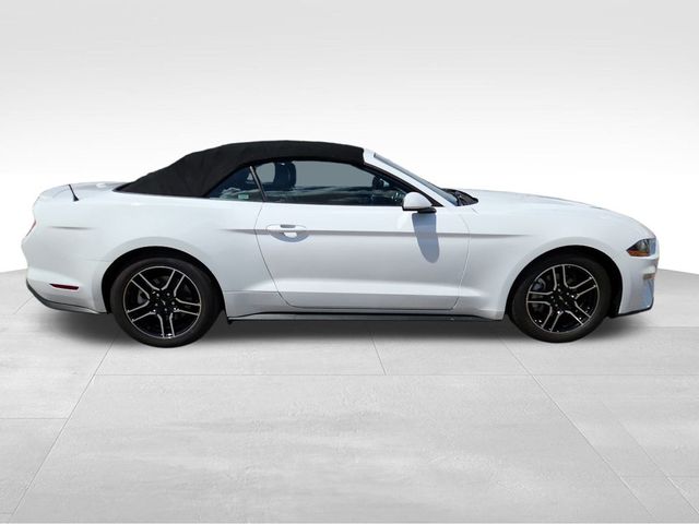 2023 Ford Mustang EcoBoost