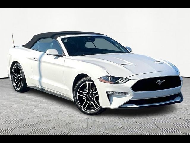 2023 Ford Mustang 