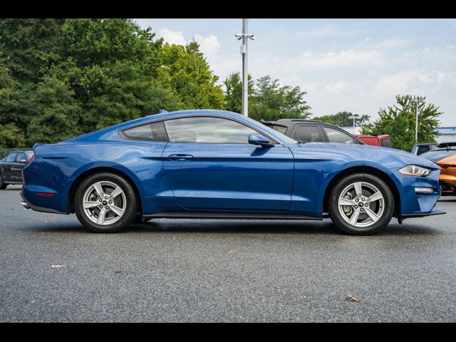 2023 Ford Mustang 