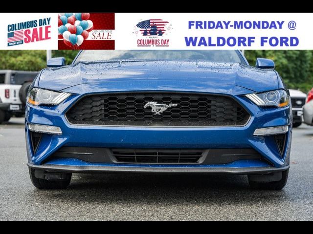 2023 Ford Mustang 