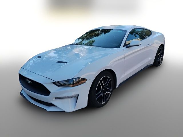 2023 Ford Mustang 