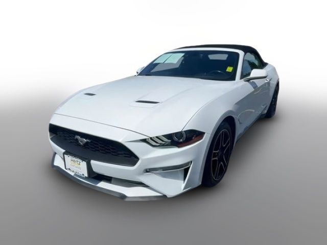 2023 Ford Mustang 