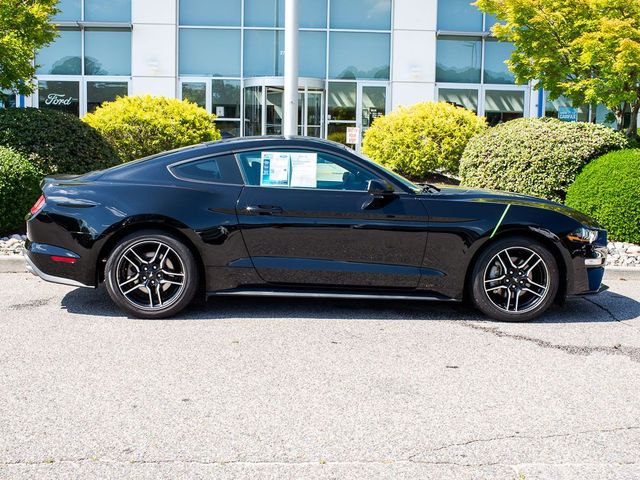 2023 Ford Mustang EcoBoost