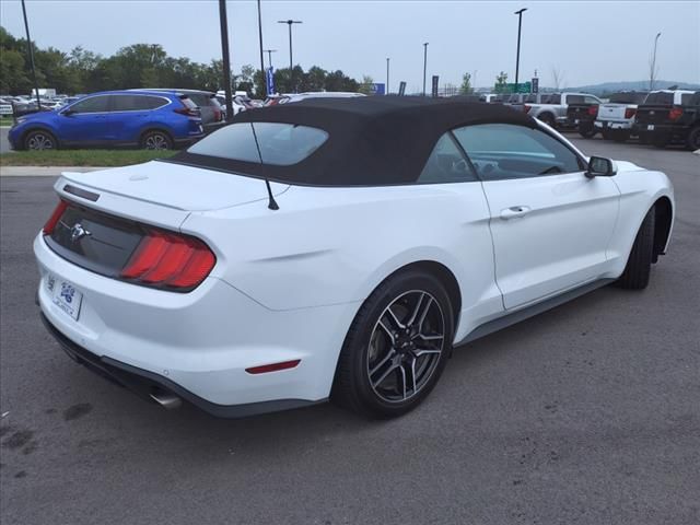 2023 Ford Mustang 