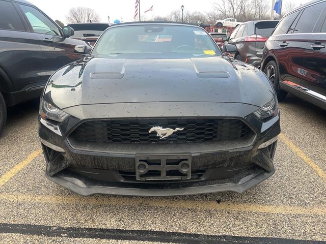 2023 Ford Mustang EcoBoost