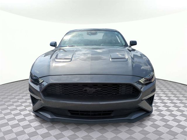 2023 Ford Mustang EcoBoost