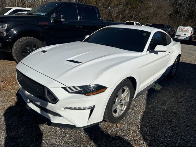 2023 Ford Mustang EcoBoost