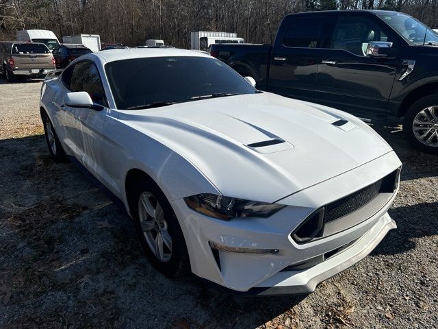 2023 Ford Mustang EcoBoost