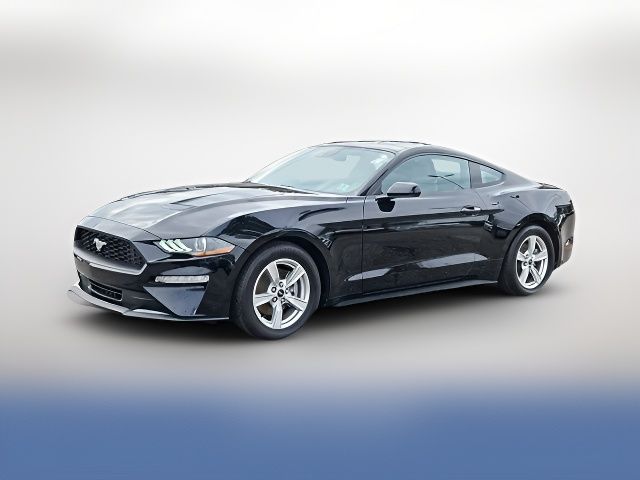 2023 Ford Mustang EcoBoost