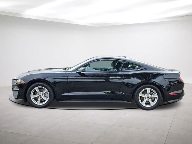 2023 Ford Mustang EcoBoost