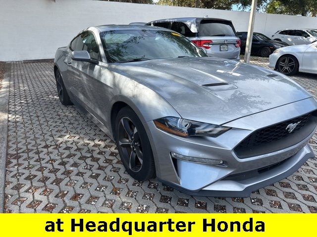 2023 Ford Mustang EcoBoost