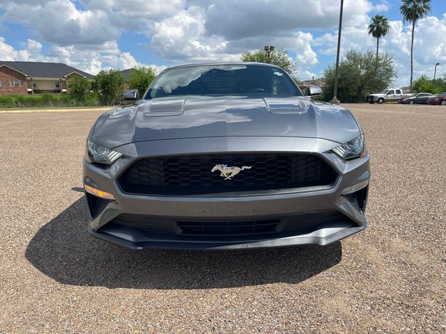 2023 Ford Mustang EcoBoost