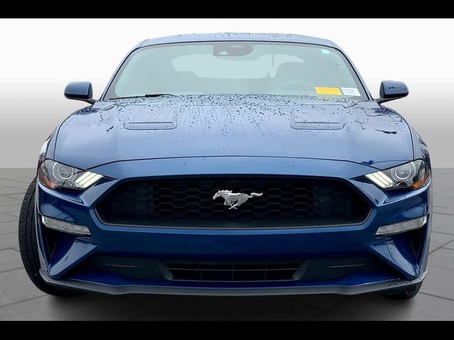 2023 Ford Mustang EcoBoost