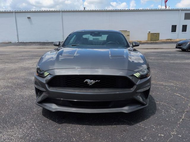 2023 Ford Mustang EcoBoost