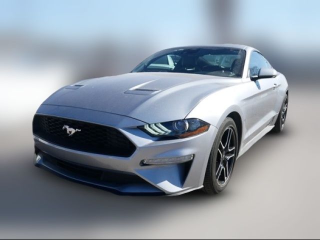 2023 Ford Mustang EcoBoost