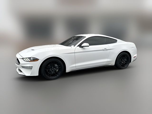 2023 Ford Mustang EcoBoost