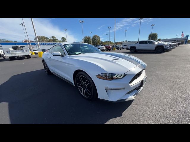 2023 Ford Mustang EcoBoost