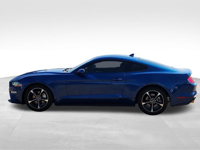 2023 Ford Mustang EcoBoost