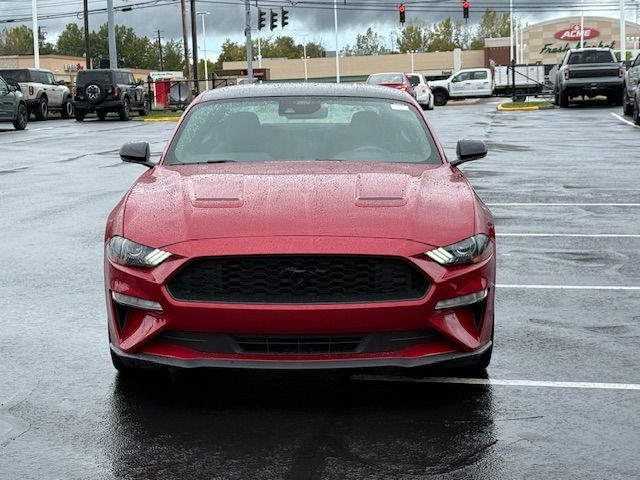 2023 Ford Mustang EcoBoost
