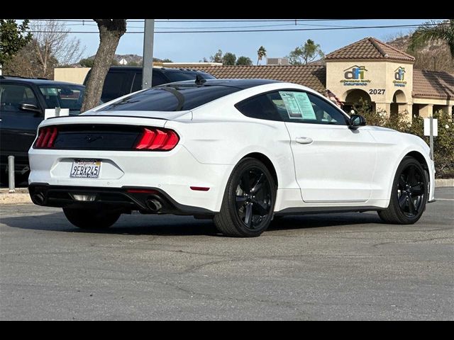 2023 Ford Mustang EcoBoost