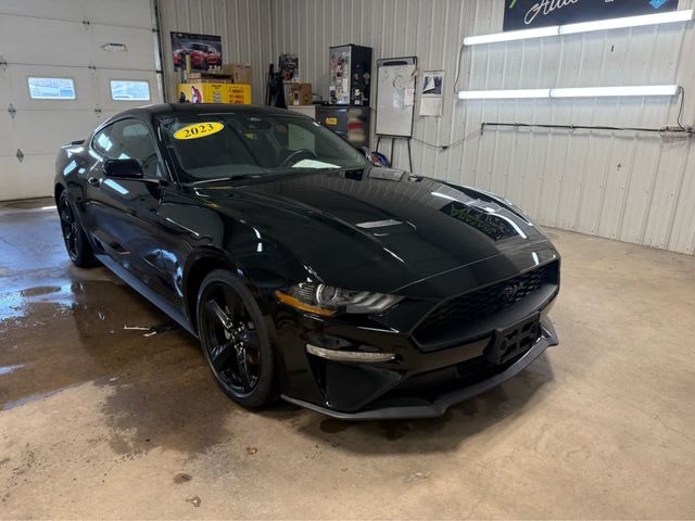 2023 Ford Mustang EcoBoost