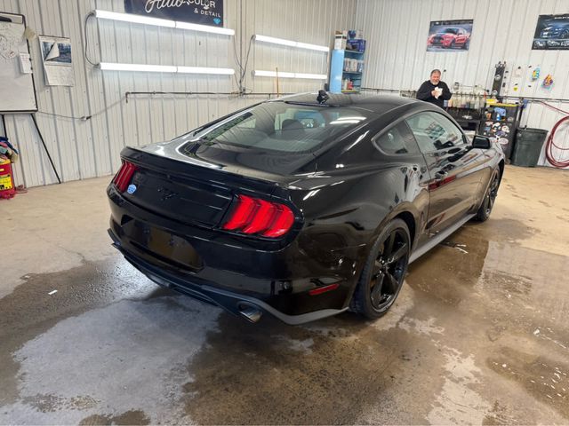 2023 Ford Mustang EcoBoost