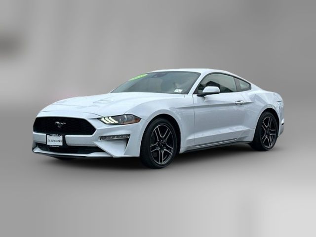 2023 Ford Mustang EcoBoost