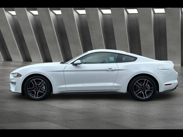 2023 Ford Mustang EcoBoost