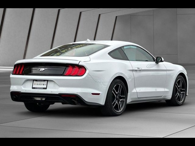 2023 Ford Mustang EcoBoost