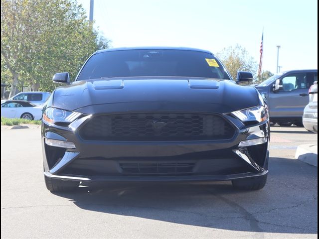 2023 Ford Mustang EcoBoost