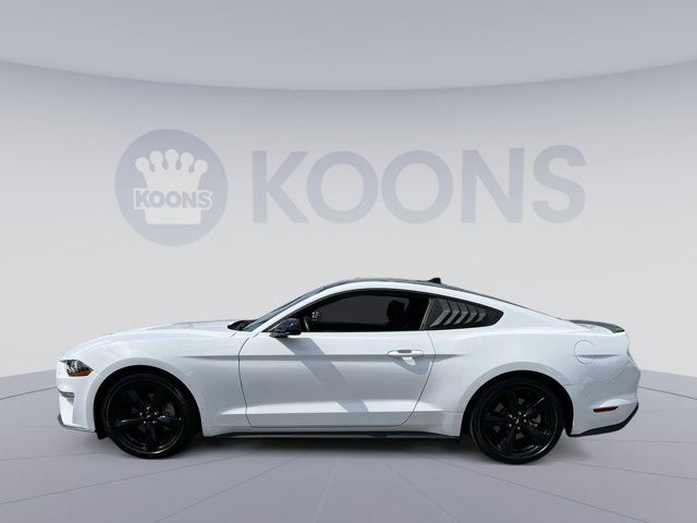 2023 Ford Mustang EcoBoost