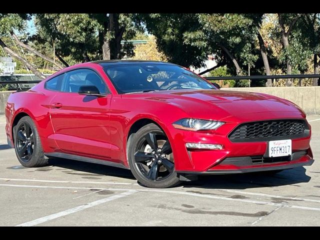 2023 Ford Mustang EcoBoost