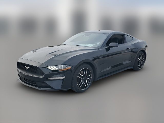 2023 Ford Mustang EcoBoost